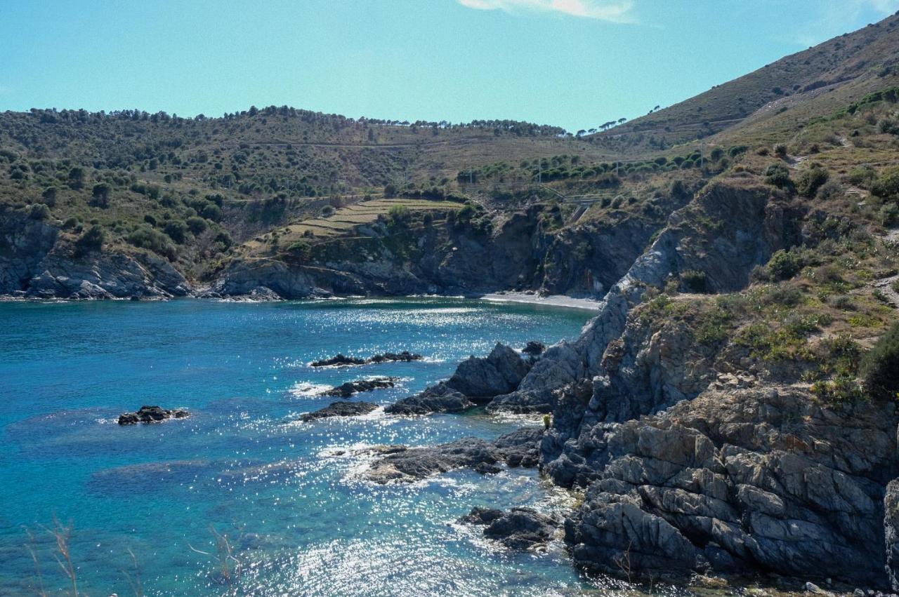 Cerbère F3 En Bord De Mer Avec Piscine מראה חיצוני תמונה
